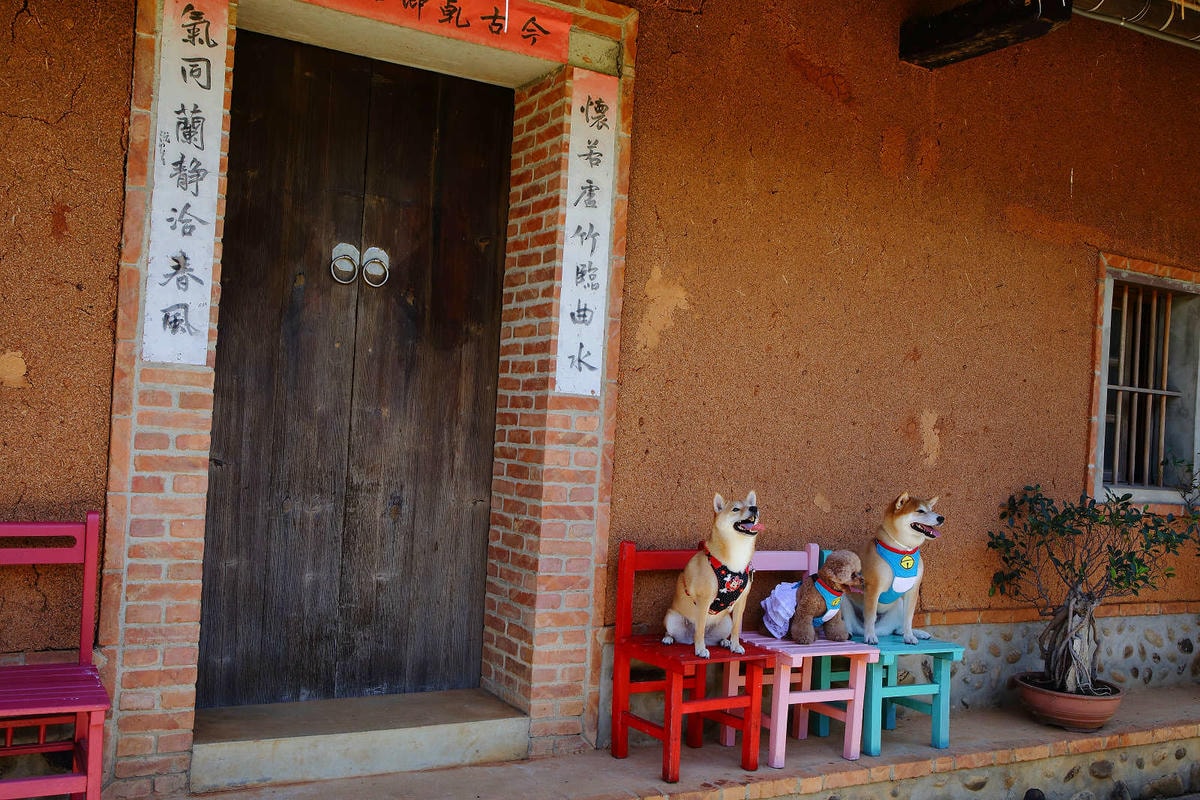 【遊。桃園】蘆竹坑子溪休閒農業區(坑子土角厝)〜假日遛毛小孩必看!免費參觀,好玩好拍桃園IG打卡景點就醬玩!