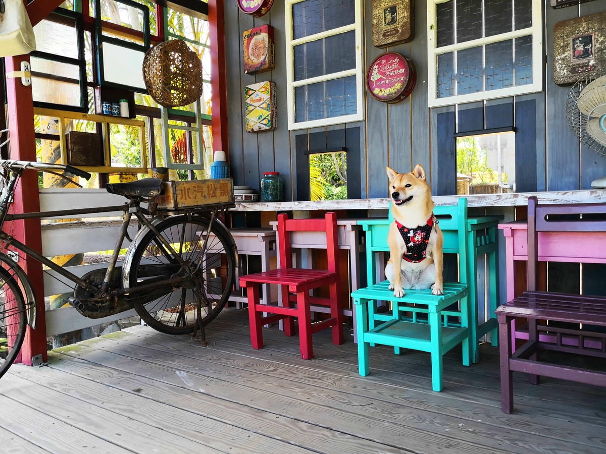 【遊。桃園】蘆竹坑子溪休閒農業區(坑子土角厝)〜假日遛毛小孩必看!免費參觀,好玩好拍桃園IG打卡景點就醬玩!