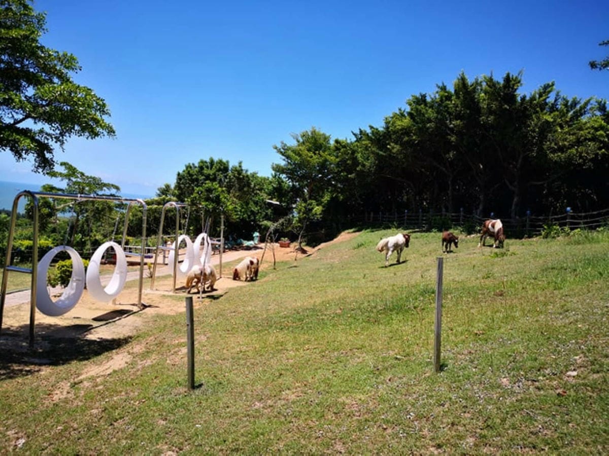 【遊。桃園】海灣星空咖啡館〜無敵海景、飛機起降、百萬夜景，氣氛棒透了，假日就要來這裡浪漫一下啦！