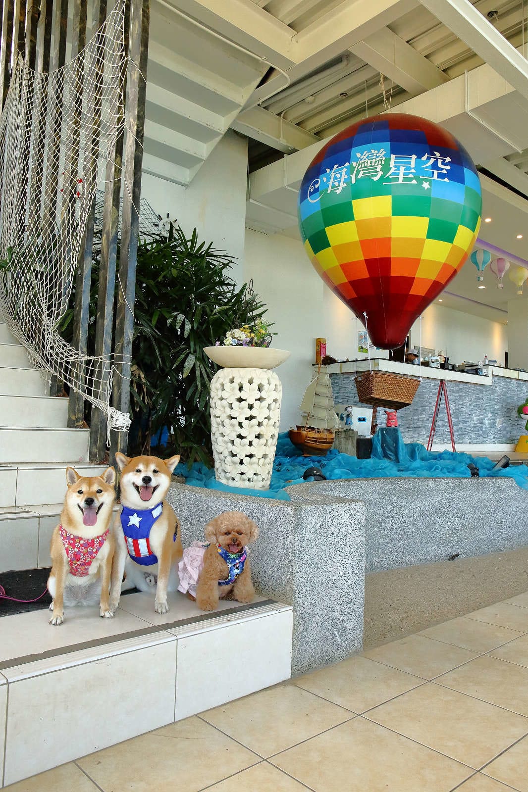 【遊。桃園】海灣星空咖啡館〜無敵海景、飛機起降、百萬夜景，氣氛棒透了，假日就要來這裡浪漫一下啦！