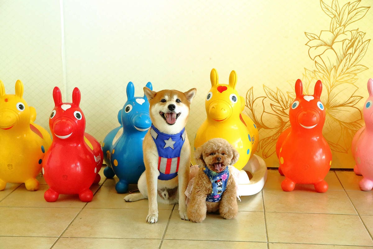 【遊。桃園】海灣星空咖啡館〜無敵海景、飛機起降、百萬夜景，氣氛棒透了，假日就要來這裡浪漫一下啦！