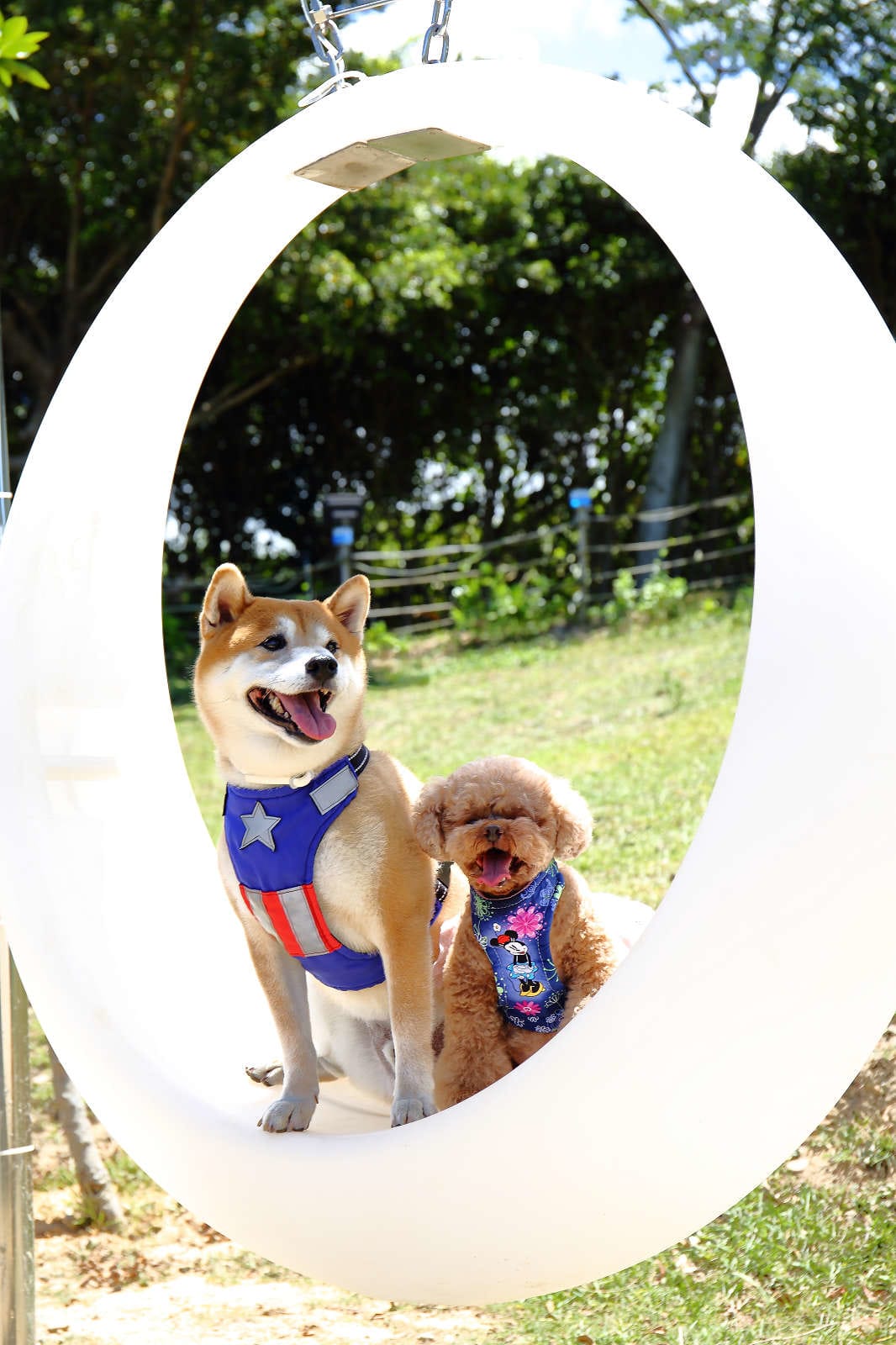 【遊。桃園】海灣星空咖啡館〜無敵海景、飛機起降、百萬夜景，氣氛棒透了，假日就要來這裡浪漫一下啦！