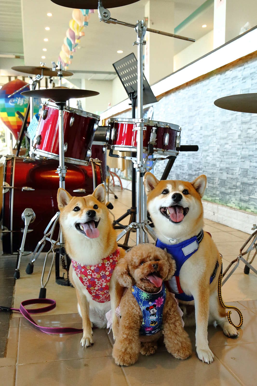 【遊。桃園】海灣星空咖啡館〜無敵海景、飛機起降、百萬夜景，氣氛棒透了，假日就要來這裡浪漫一下啦！