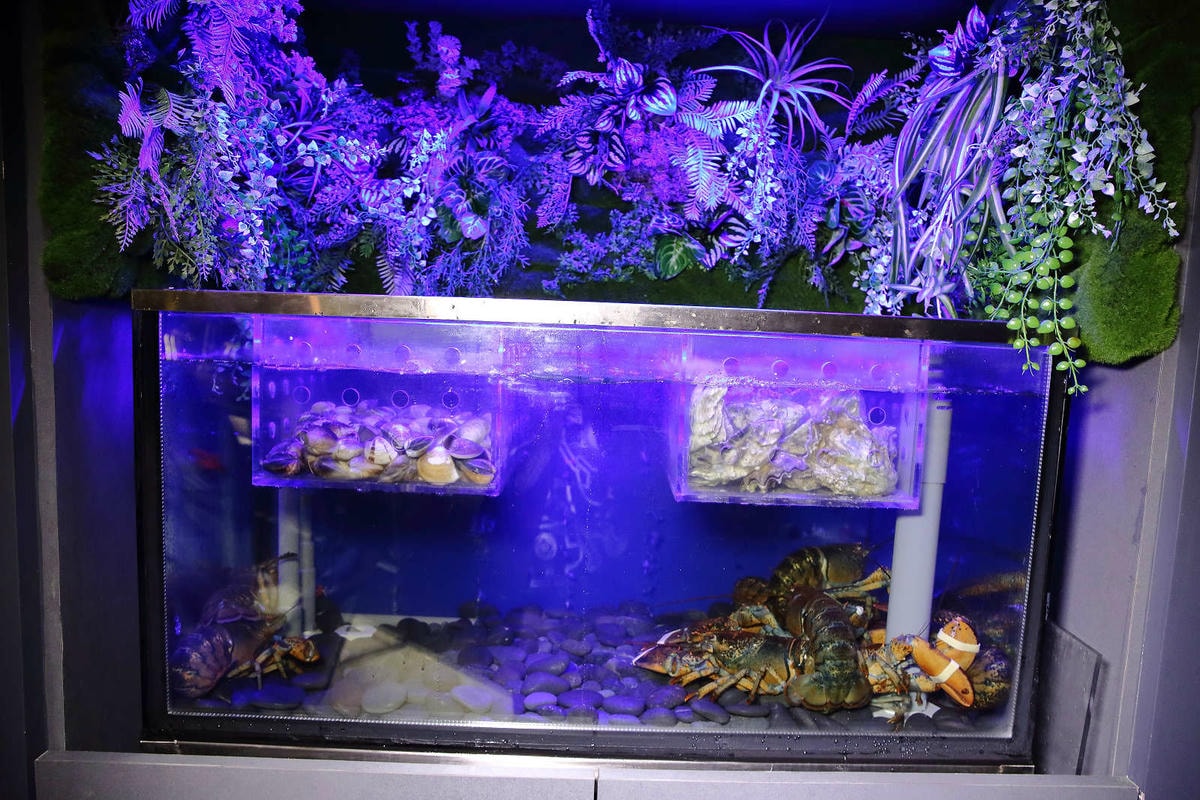 【食。台北】東區餐酒館MURA Lunch&Dinner〜八點檔花露水女神開的餐酒館!CP值爆表餐點超美味,下班放鬆聚餐首選!