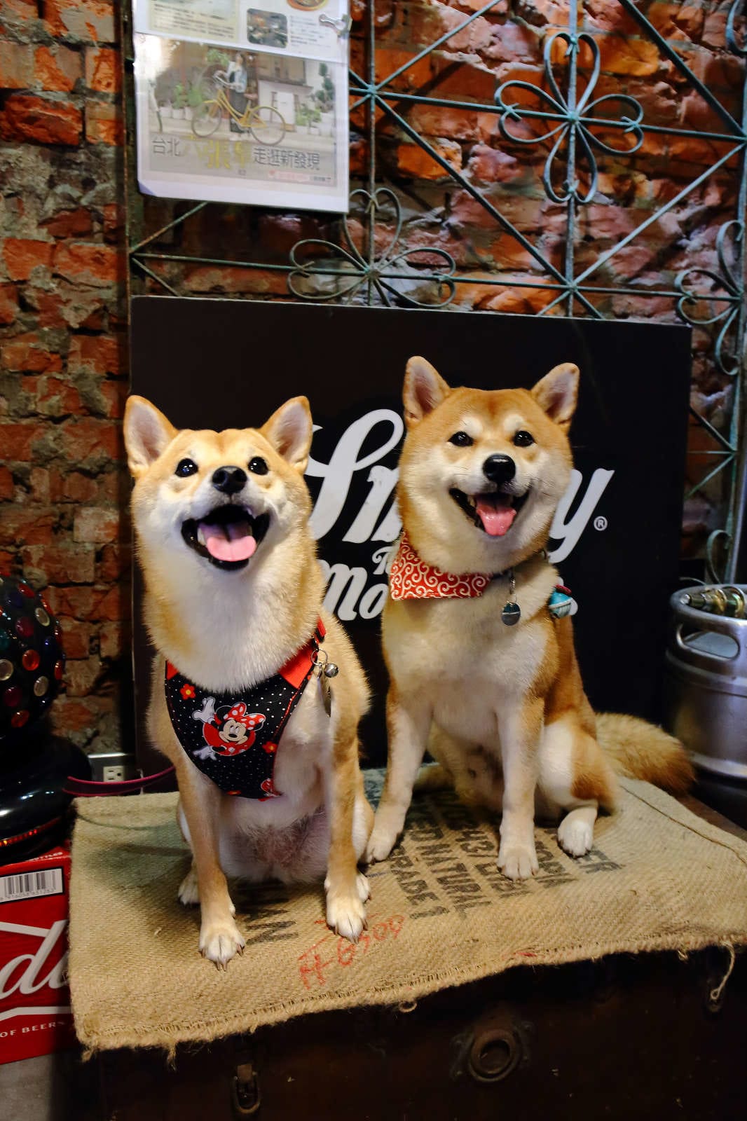 【食。台北】黑熊愛跳舞〜大安美式餐廳。食尚玩家介紹，一定要收藏，超浮誇視覺系人氣美食！(寵物友善)