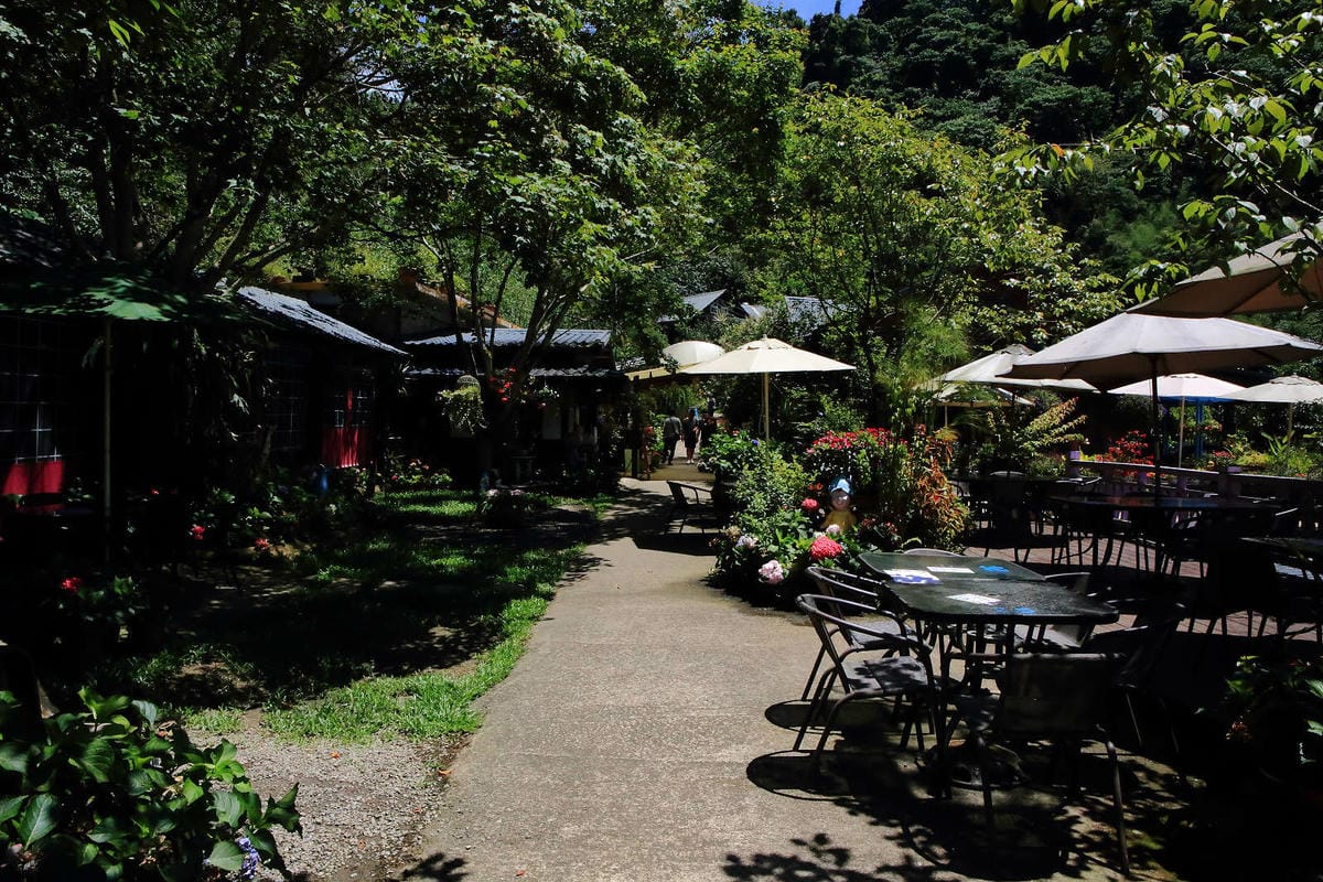 【遊。苗栗】南庄碧絡角花園咖啡〜隱身於山林中的秘密花園，四季如畫的花海，浪漫造景拍不完！