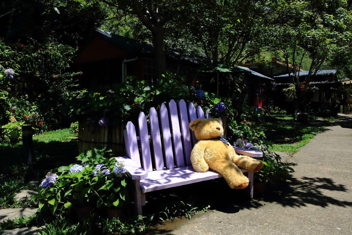 【遊。苗栗】南庄碧絡角花園咖啡〜隱身於山林中的秘密花園，四季如畫的花海，浪漫造景拍不完！