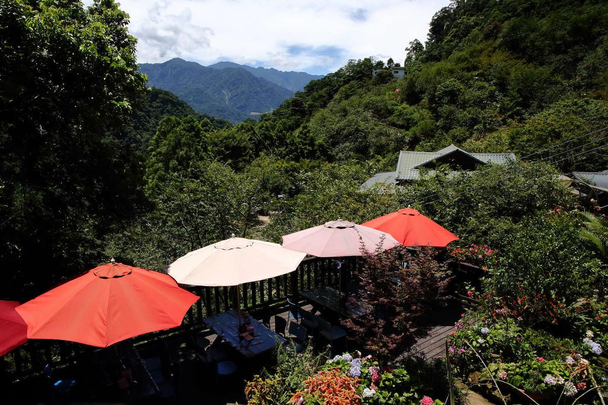 【遊。苗栗】南庄碧絡角花園咖啡〜隱身於山林中的秘密花園，四季如畫的花海，浪漫造景拍不完！
