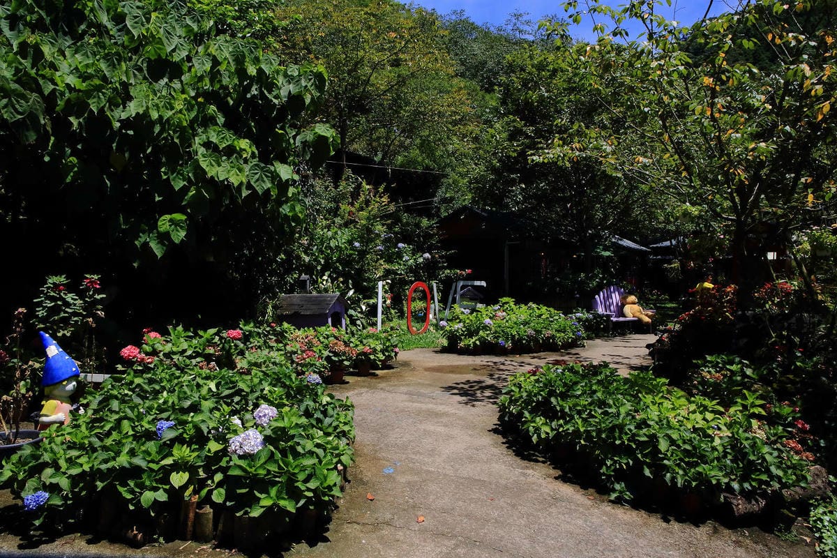 【遊。苗栗】南庄碧絡角花園咖啡〜隱身於山林中的秘密花園，四季如畫的花海，浪漫造景拍不完！