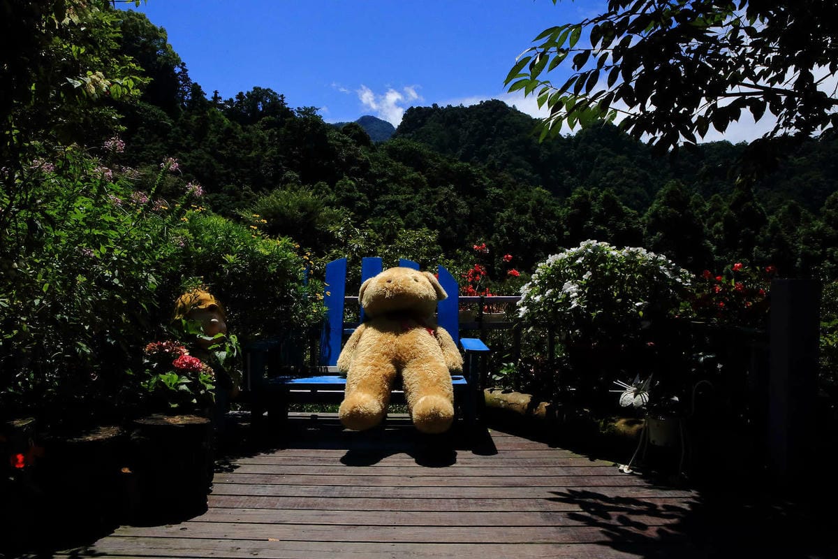 【遊。苗栗】南庄碧絡角花園咖啡〜隱身於山林中的秘密花園，四季如畫的花海，浪漫造景拍不完！