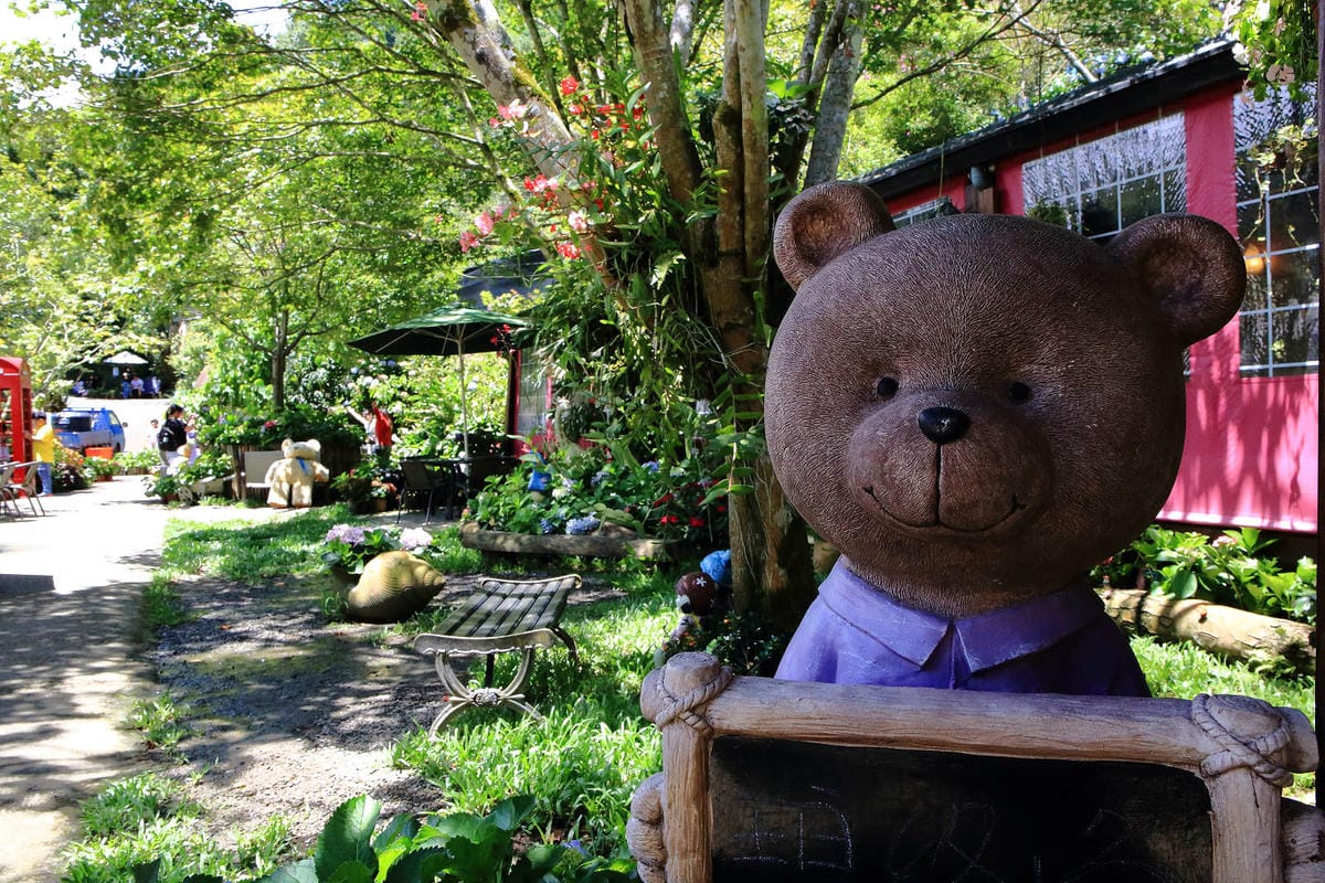 【遊。苗栗】南庄碧絡角花園咖啡〜隱身於山林中的秘密花園，四季如畫的花海，浪漫造景拍不完！