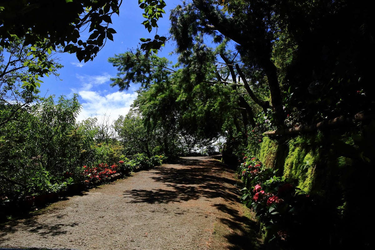 【遊。苗栗】南庄碧絡角花園咖啡〜隱身於山林中的秘密花園，四季如畫的花海，浪漫造景拍不完！