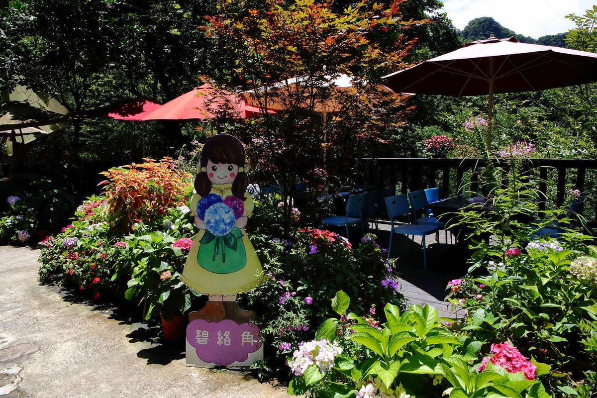 【遊。苗栗】南庄碧絡角花園咖啡〜隱身於山林中的秘密花園，四季如畫的花海，浪漫造景拍不完！