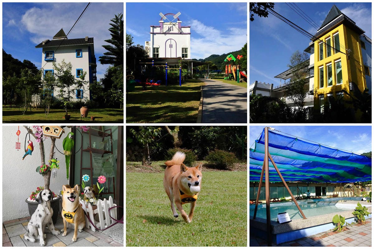 【遊。苗栗】南庄碧絡角花園咖啡〜隱身於山林中的秘密花園，四季如畫的花海，浪漫造景拍不完！