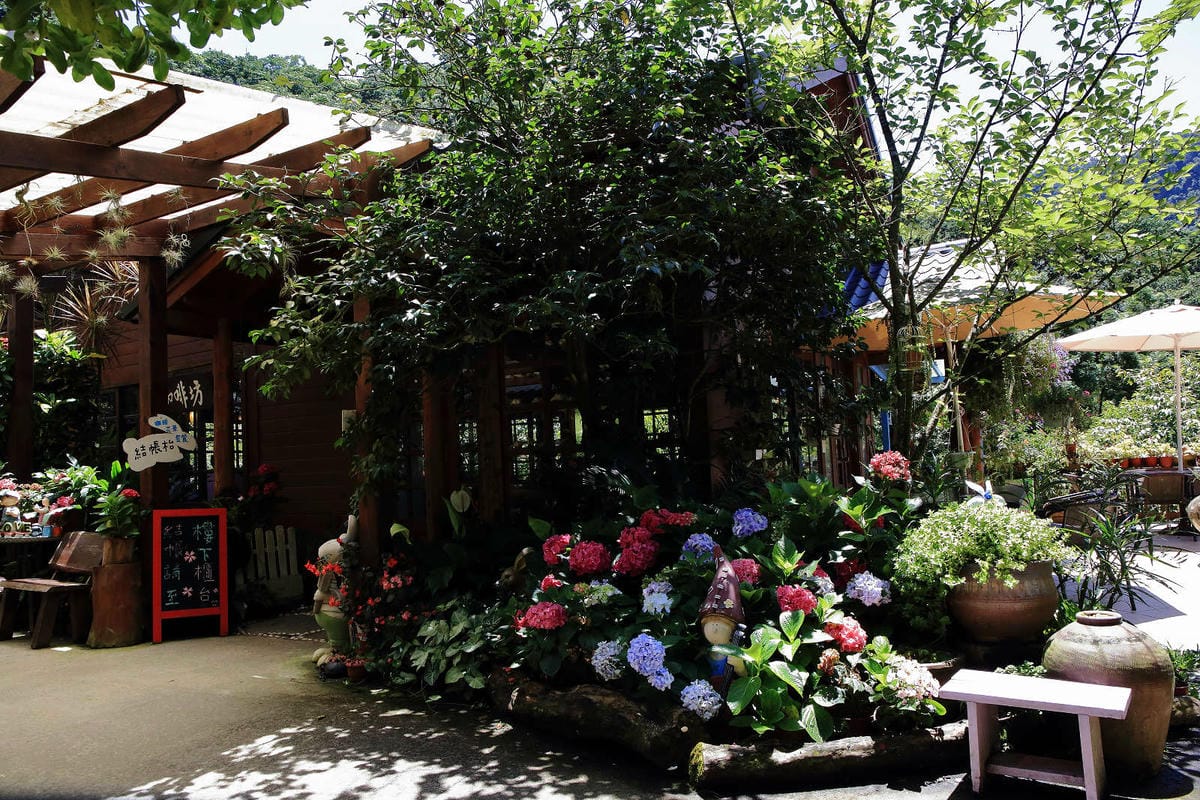 【遊。苗栗】南庄碧絡角花園咖啡〜隱身於山林中的秘密花園，四季如畫的花海，浪漫造景拍不完！