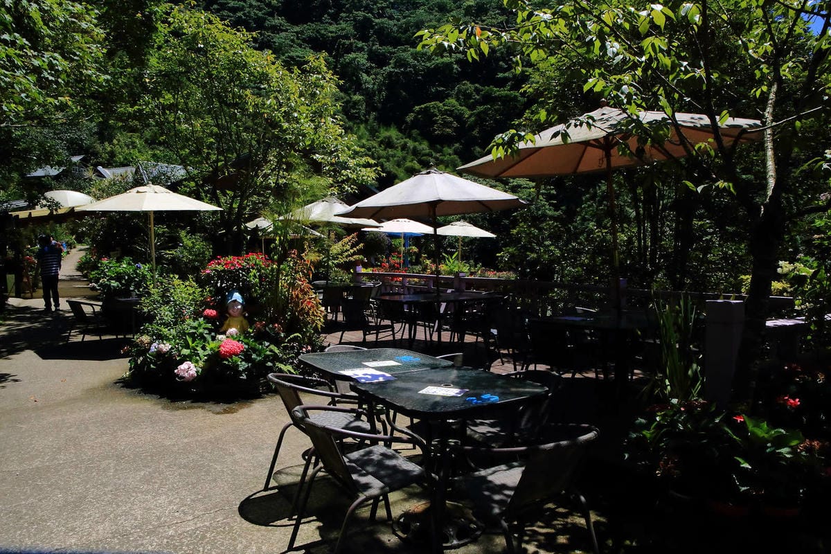 【遊。苗栗】南庄碧絡角花園咖啡〜隱身於山林中的秘密花園，四季如畫的花海，浪漫造景拍不完！