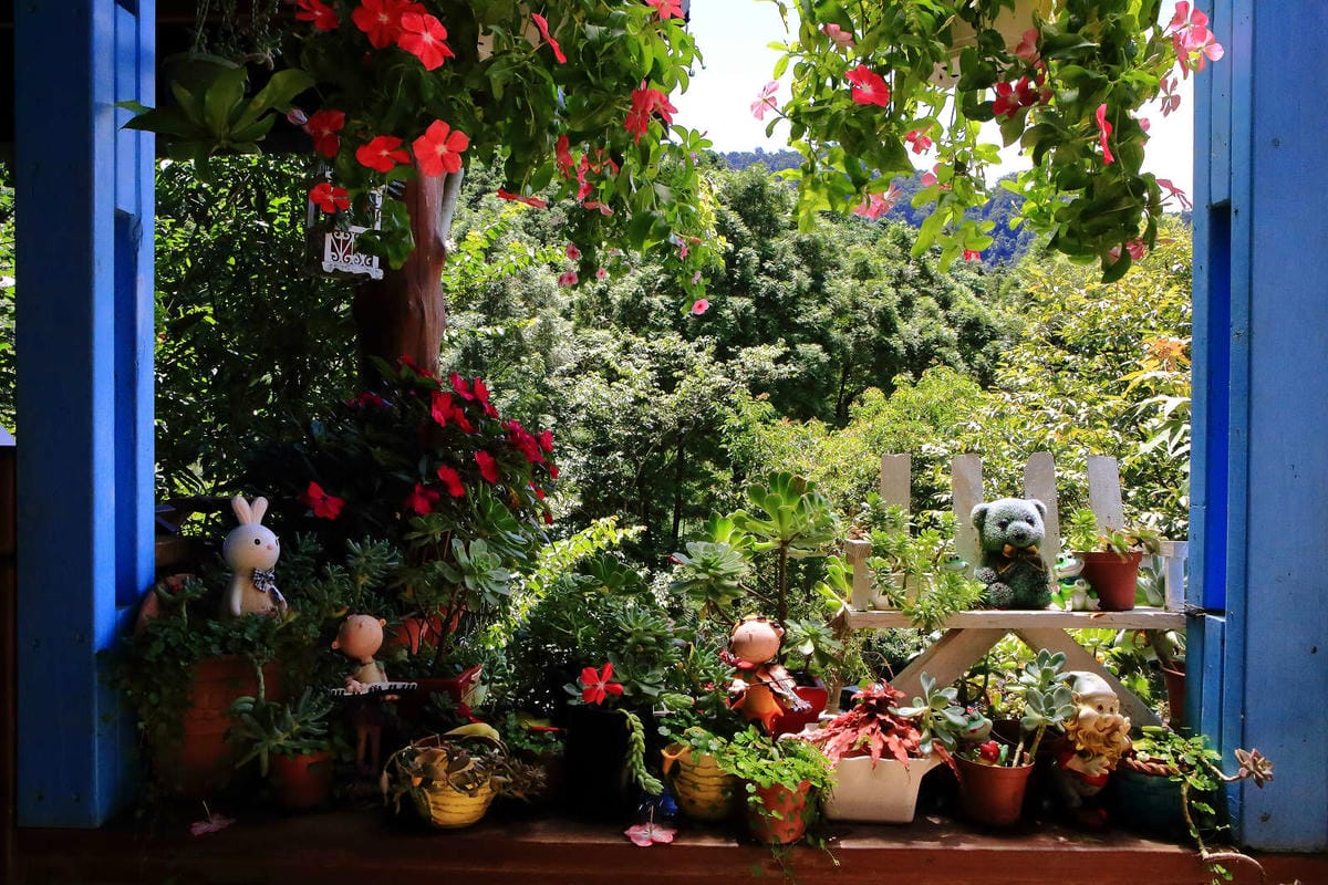 【遊。苗栗】南庄碧絡角花園咖啡〜隱身於山林中的秘密花園，四季如畫的花海，浪漫造景拍不完！