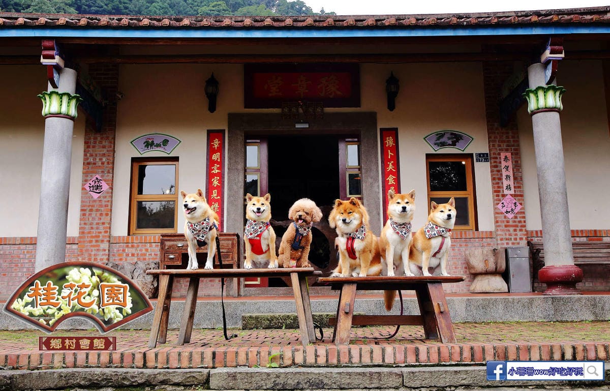 【苗栗寵物友善餐廳、旅遊景點懶人包】帶毛小孩吃喝玩樂趴趴GO