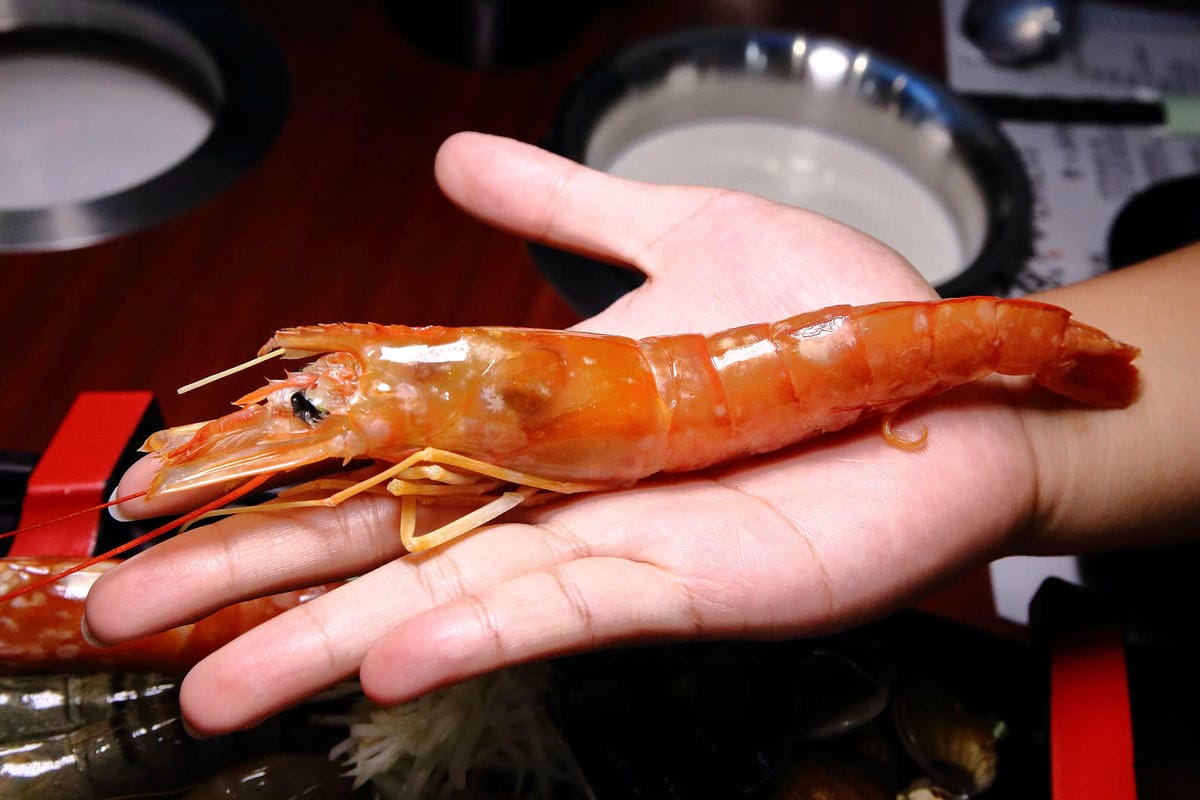 【食。三重】田原鍋日式涮涮鍋〜2019新開幕三重火鍋推薦。白飯/烏龍麵/冬粉/飲料/冰淇淋通通吃到飽，超高CP嚴選食材，吃一次就愛上啦！