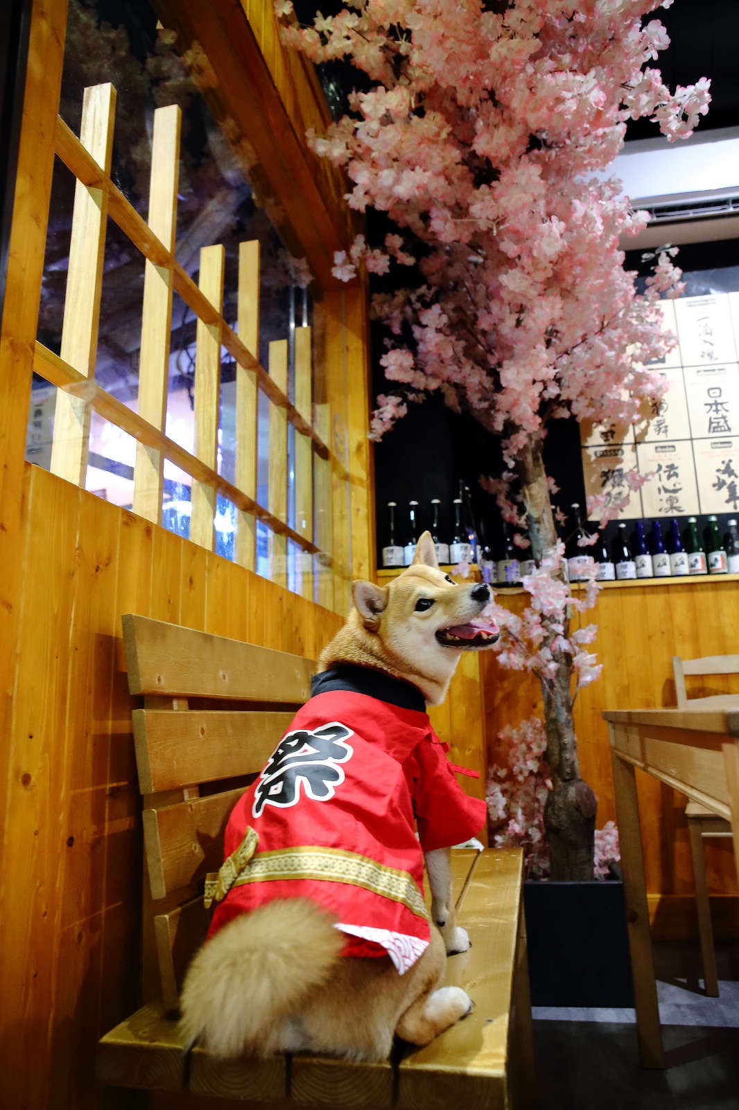 【食。基隆】螢火Hotarubi居酒屋〜基隆居酒屋推薦。濃濃日本風中享用美味串燒,餐點種類多元又好吃,在地人激推,CP值破表!