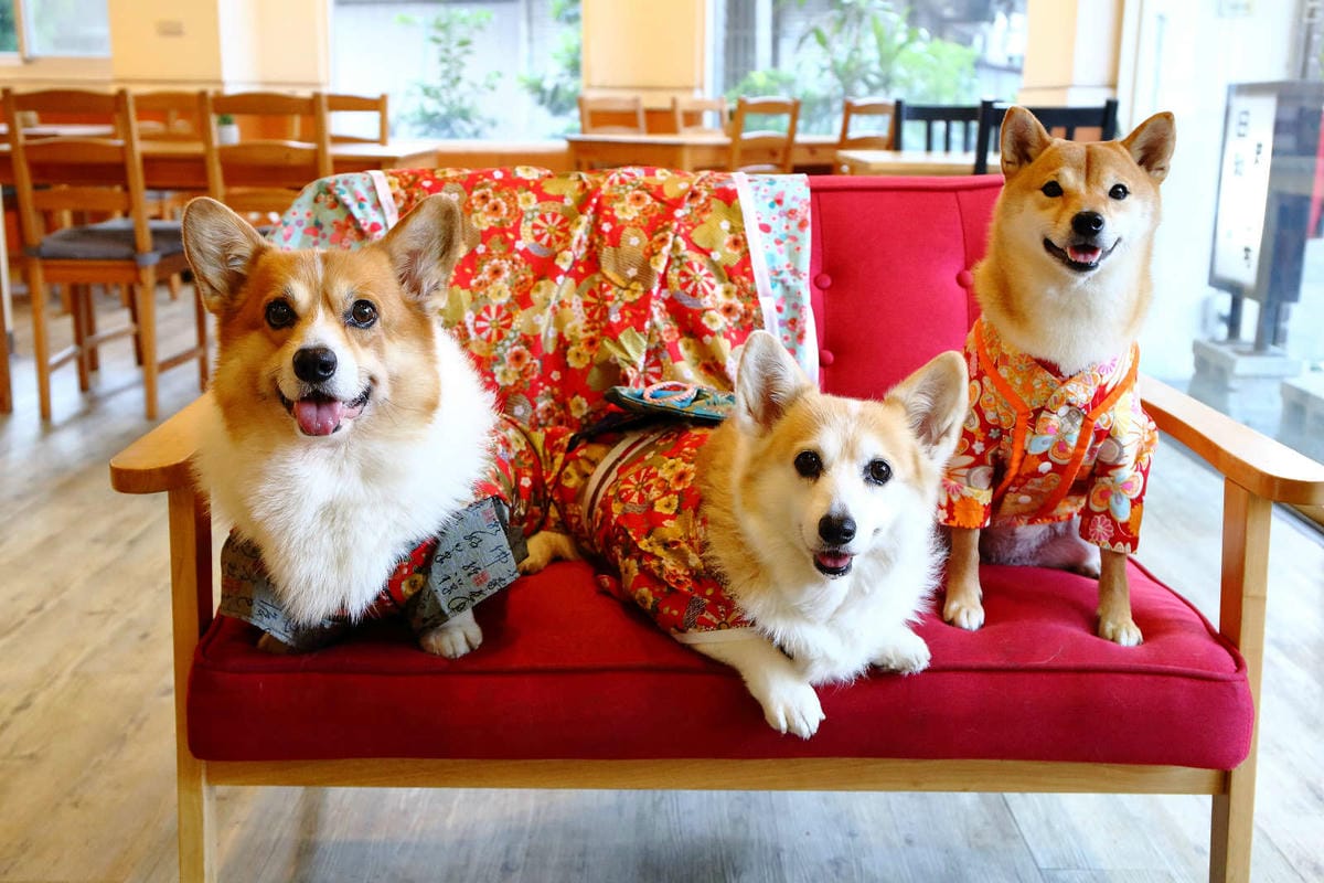 【食。桃園】日和 . まいにち〜隱藏巷弄裡人氣日式早午餐，現點現做日式飯糰，重現經典日本道地家庭味！