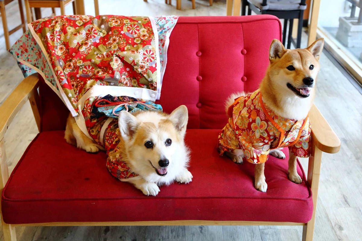 【食。桃園】日和 . まいにち〜隱藏巷弄裡人氣日式早午餐，現點現做日式飯糰，重現經典日本道地家庭味！