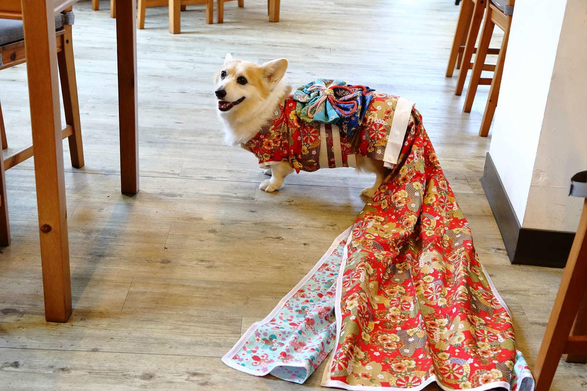 【食。桃園】日和 . まいにち〜隱藏巷弄裡人氣日式早午餐，現點現做日式飯糰，重現經典日本道地家庭味！