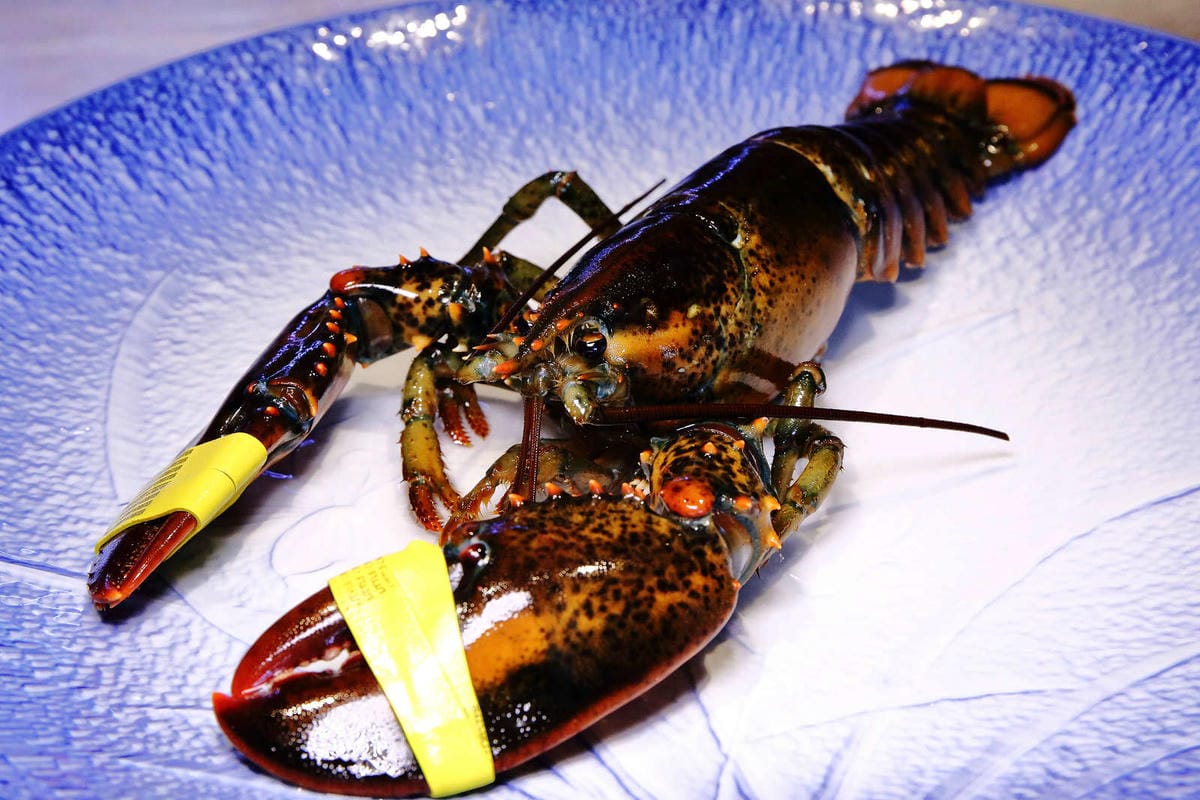 【食。新竹】山上走走日式無菜單海鮮鍋物〜頂級鍋物x創意無菜單日式料理，1000元有找吃得到活龍蝦！