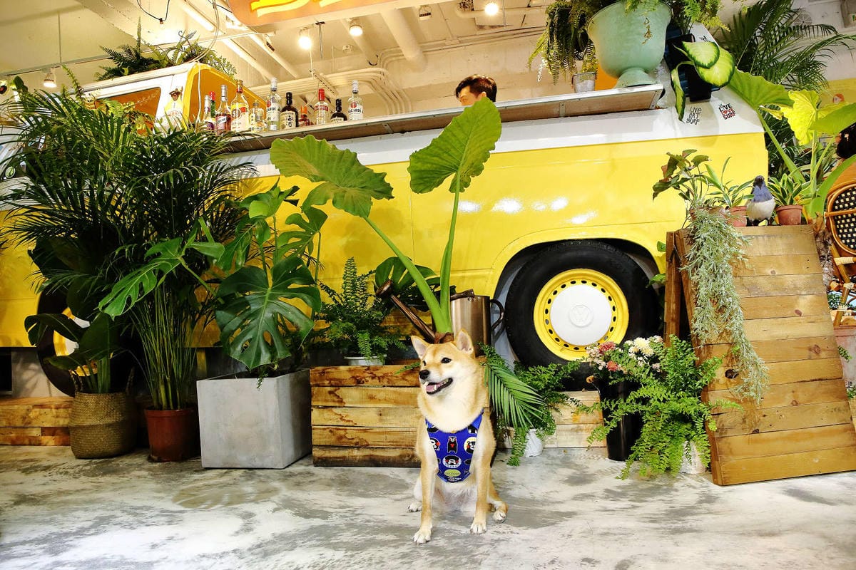 【食。萬華】JAI宅 西門店〜西門町最美餐廳！台中網美必訪的IG熱門打卡餐廳，在森林裡吃飯，網美先拍一波！