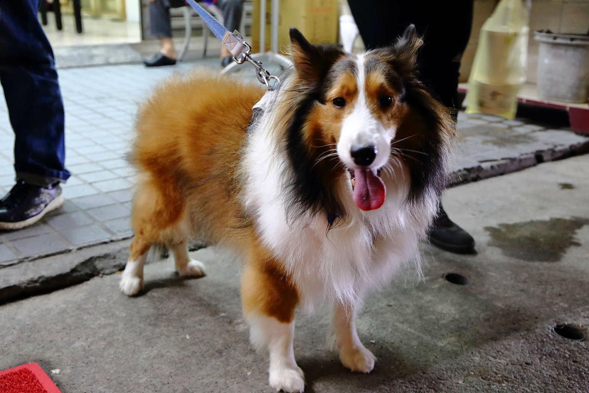 【食。桃園】飴豆棧傳統豆花〜巷弄內的銅板美食,古早味傳統豆花,手工配料真正實在,大碗滿意哦!(已歇業)