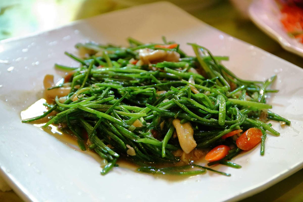 【食。彰化】童年往事莊園民宿〜彰化主題餐廳。懷舊復古餐廳帶我們一同「穿越」回到50年代！(寵物友善民宿+餐廳)