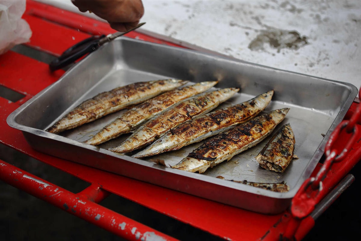 【遊。彰化】芳苑潮間帶旅遊-阿進帶你採蚵趣〜搭牛車採蚵、品蚵、捕魚、挖蛤,帶著毛小孩全新體驗!