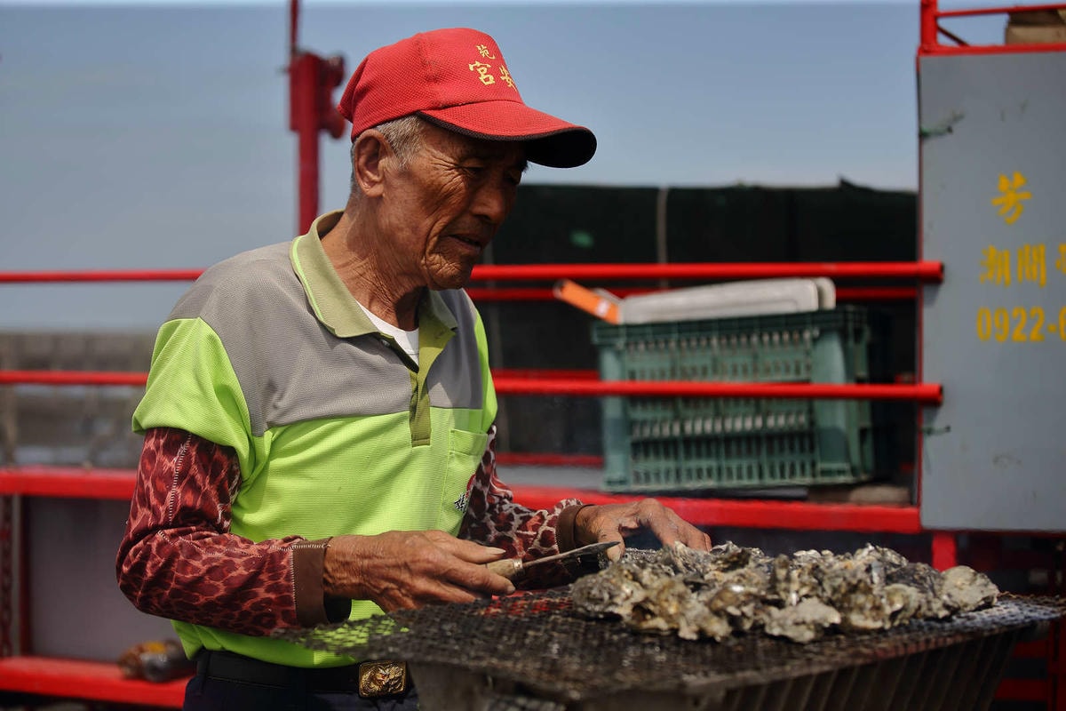 【遊。彰化】芳苑潮間帶旅遊-阿進帶你採蚵趣〜搭牛車採蚵、品蚵、捕魚、挖蛤,帶著毛小孩全新體驗!