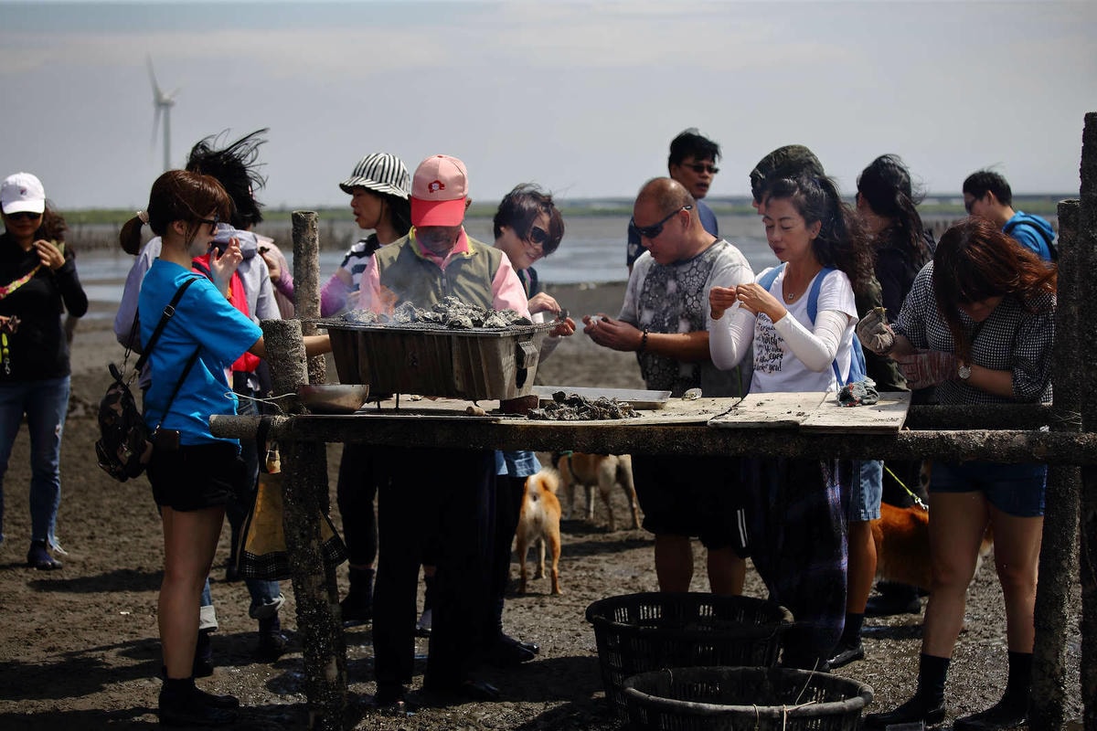 【遊。彰化】芳苑潮間帶旅遊-阿進帶你採蚵趣〜搭牛車採蚵、品蚵、捕魚、挖蛤,帶著毛小孩全新體驗!
