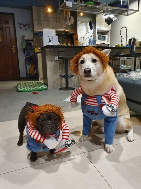 81119389_2887105484641392_3022104397246103552.jpg 81119389_2887105484641392_3022104397246103552.jpg