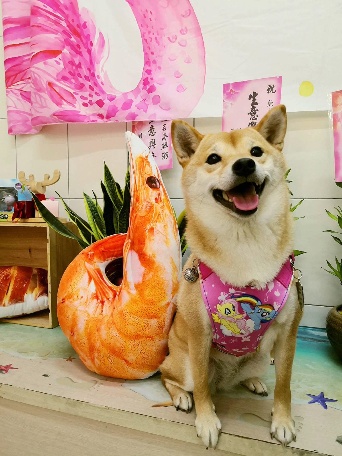 IMG_20200117_173959.jpg IMG_20200117_173959.jpg