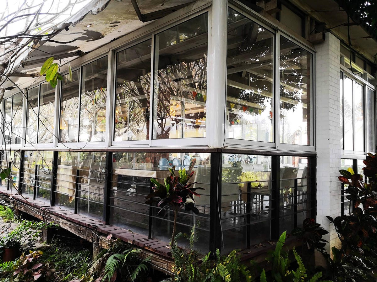 【宿。嘉義】悅來居莊園〜嘉義友善寵物民宿。落羽松森林小木屋、