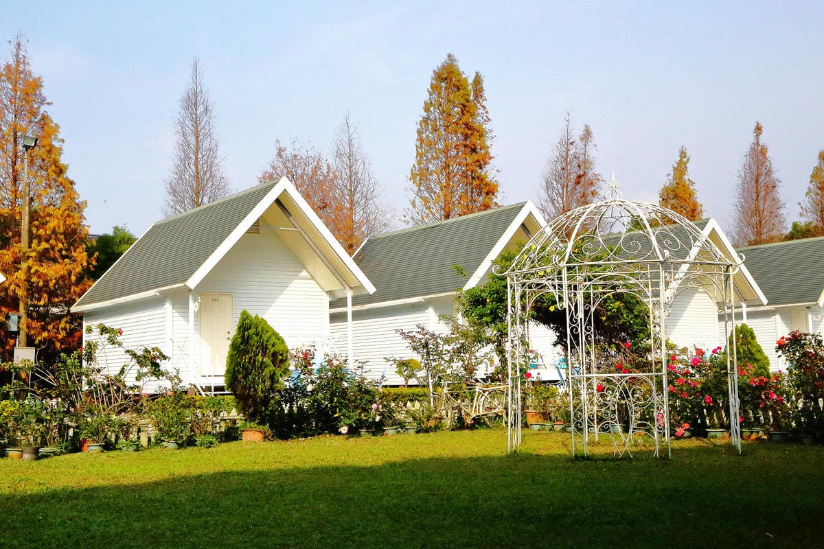 【宿。嘉義】悅來居莊園〜嘉義友善寵物民宿。落羽松森林小木屋、