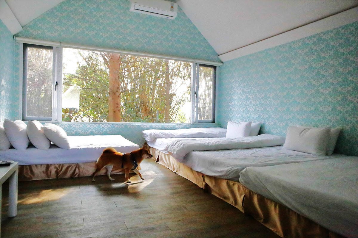 【宿。嘉義】悅來居莊園〜嘉義友善寵物民宿。落羽松森林小木屋、