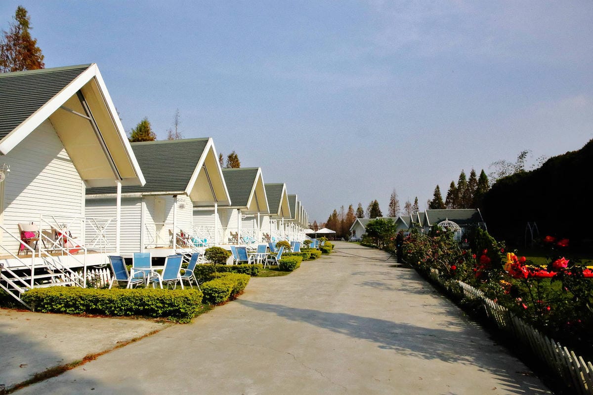 【宿。嘉義】悅來居莊園〜嘉義友善寵物民宿。落羽松森林小木屋、