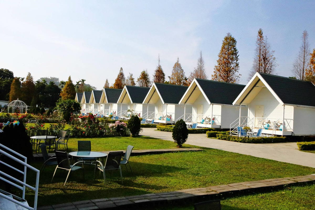 【宿。嘉義】悅來居莊園〜嘉義友善寵物民宿。落羽松森林小木屋、