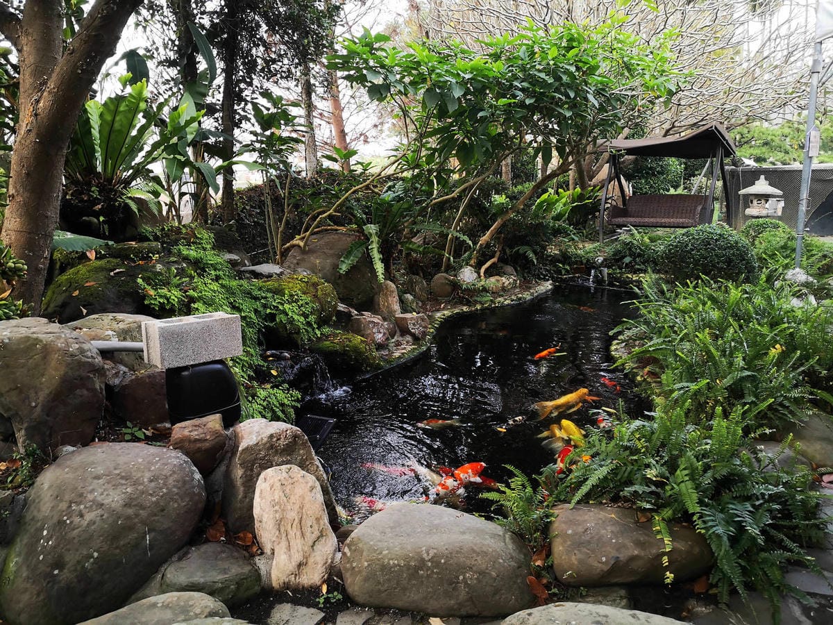 【宿。嘉義】悅來居莊園〜嘉義友善寵物民宿。落羽松森林小木屋、