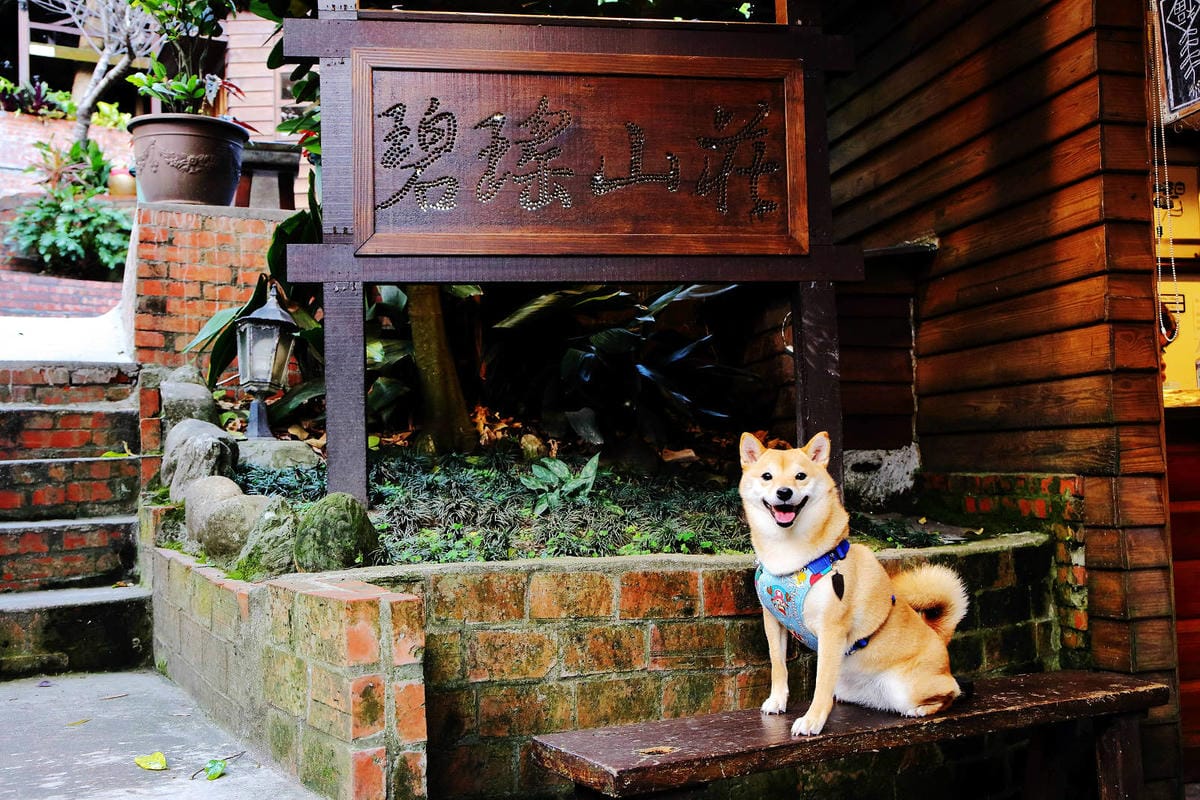 【食。五股】碧瑤山莊〜藏在都市裡的庭園餐廳,觀音山百年古厝吃 【食。五股】碧瑤山莊〜藏在都市裡的庭園餐廳,觀音山百年古厝吃