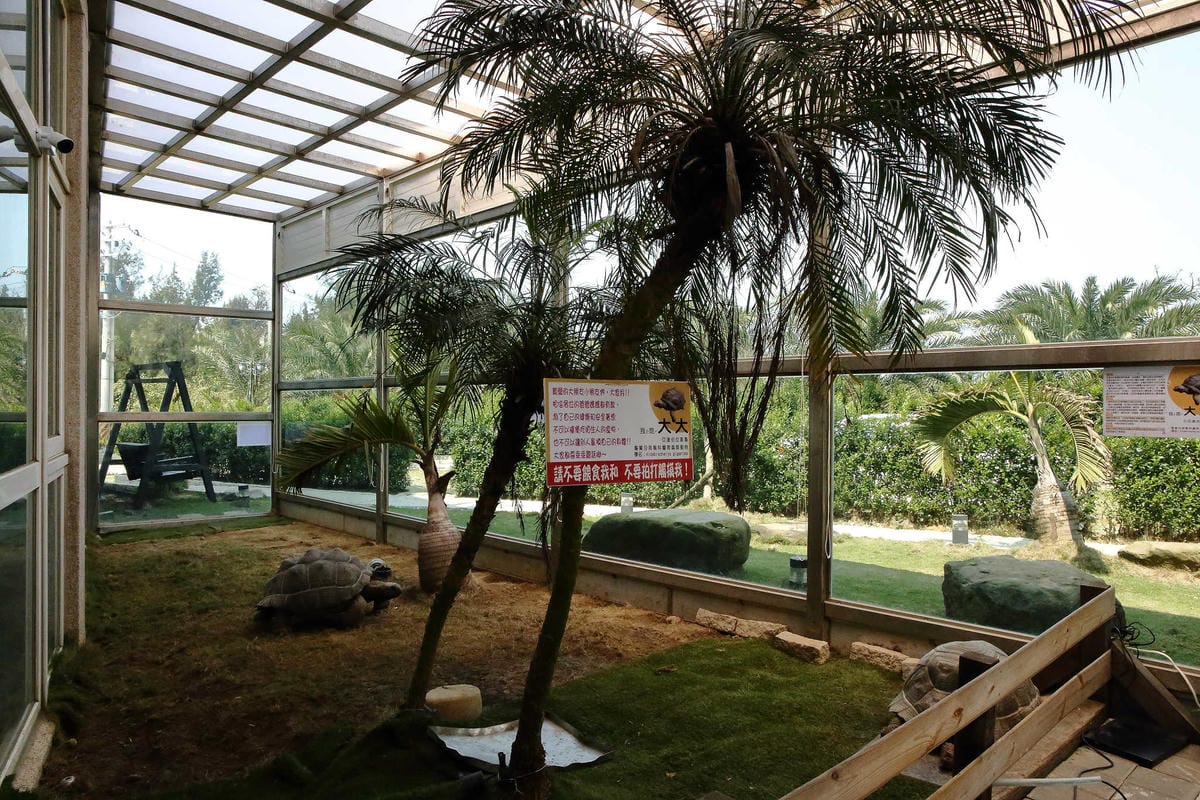 【食。桃園】3號咖啡 No.3 Cafe〜親子寵物友善餐廳。峇里島風情，大草皮×溜滑梯沙坑×寵物泳池，遛小孩的天堂！