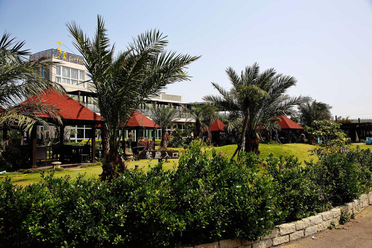 【食。桃園】3號咖啡 No.3 Cafe〜親子寵物友善餐廳。峇里島風情，大草皮×溜滑梯沙坑×寵物泳池，遛小孩的天堂！