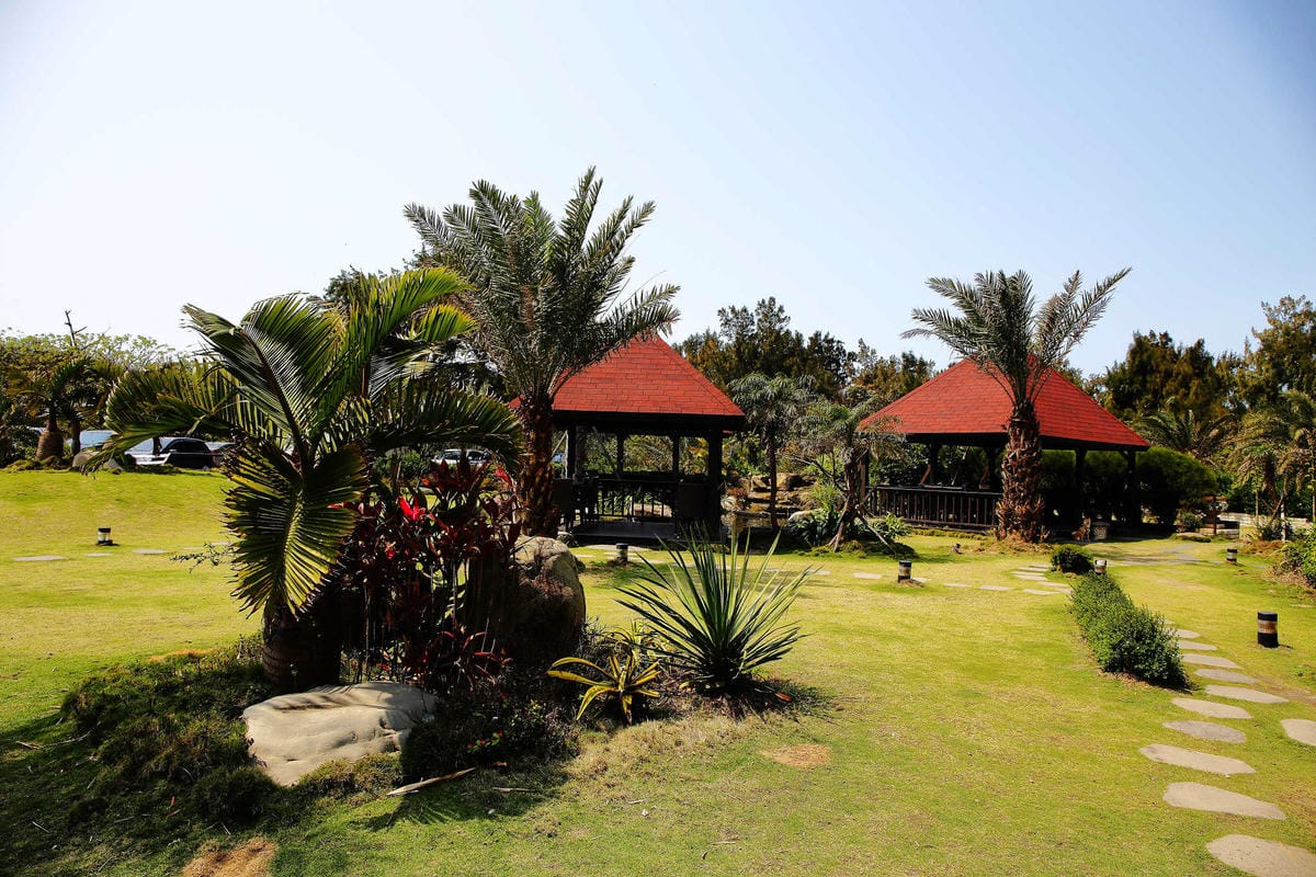 【食。桃園】3號咖啡 No.3 Cafe〜親子寵物友善餐廳。峇里島風情，大草皮×溜滑梯沙坑×寵物泳池，遛小孩的天堂！