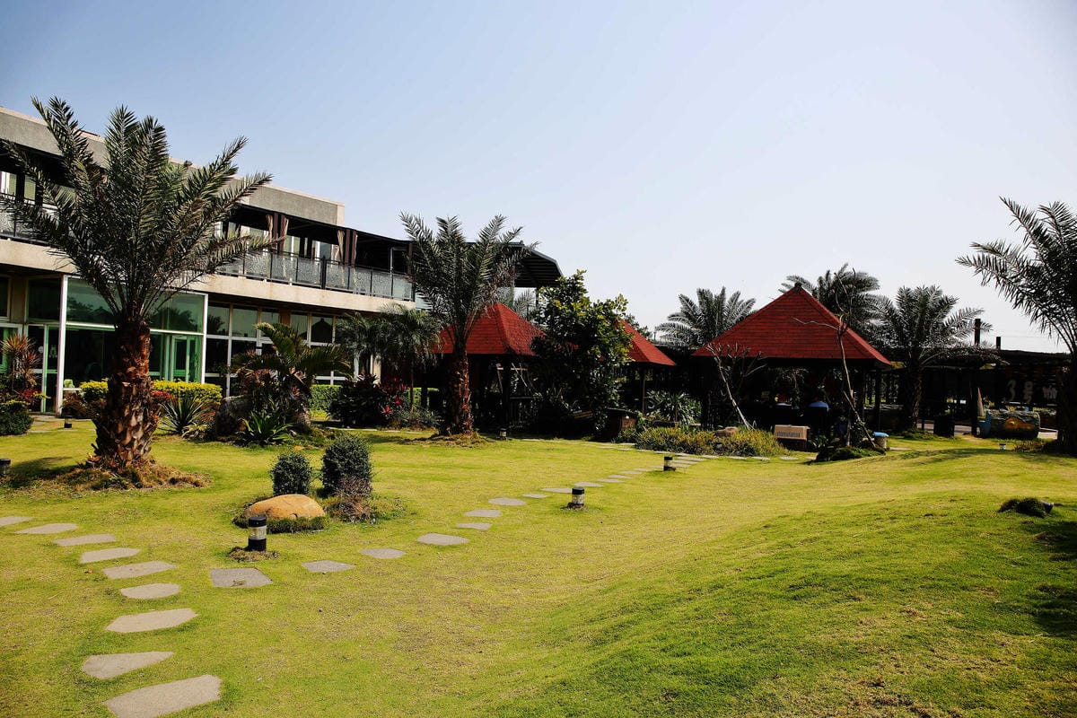 【食。桃園】3號咖啡 No.3 Cafe〜親子寵物友善餐廳。峇里島風情，大草皮×溜滑梯沙坑×寵物泳池，遛小孩的天堂！