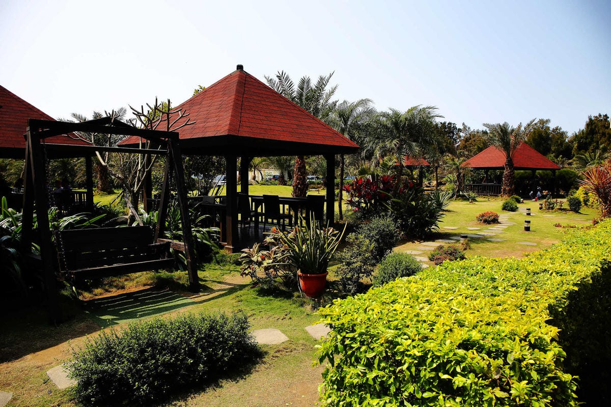 【食。桃園】3號咖啡 No.3 Cafe〜親子寵物友善餐廳。峇里島風情，大草皮×溜滑梯沙坑×寵物泳池，遛小孩的天堂！