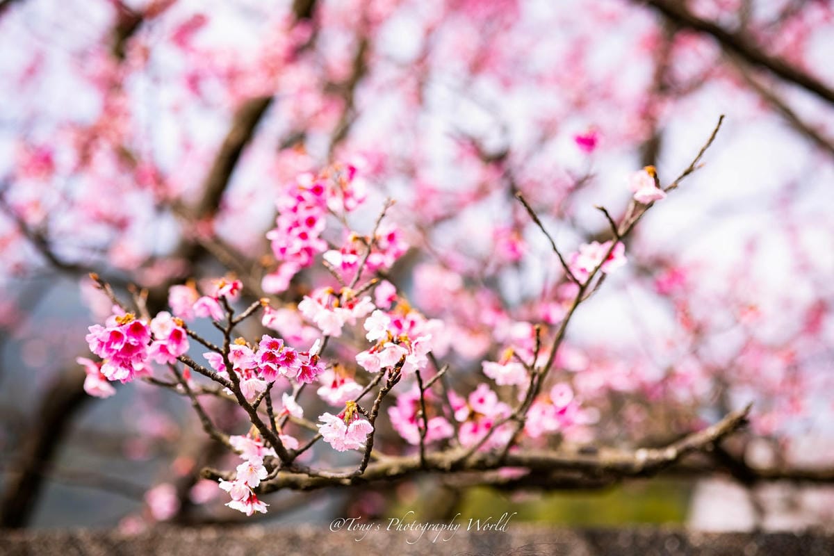 2021126@平等里_210126_0.jpg 2021126@平等里_210126_0.jpg