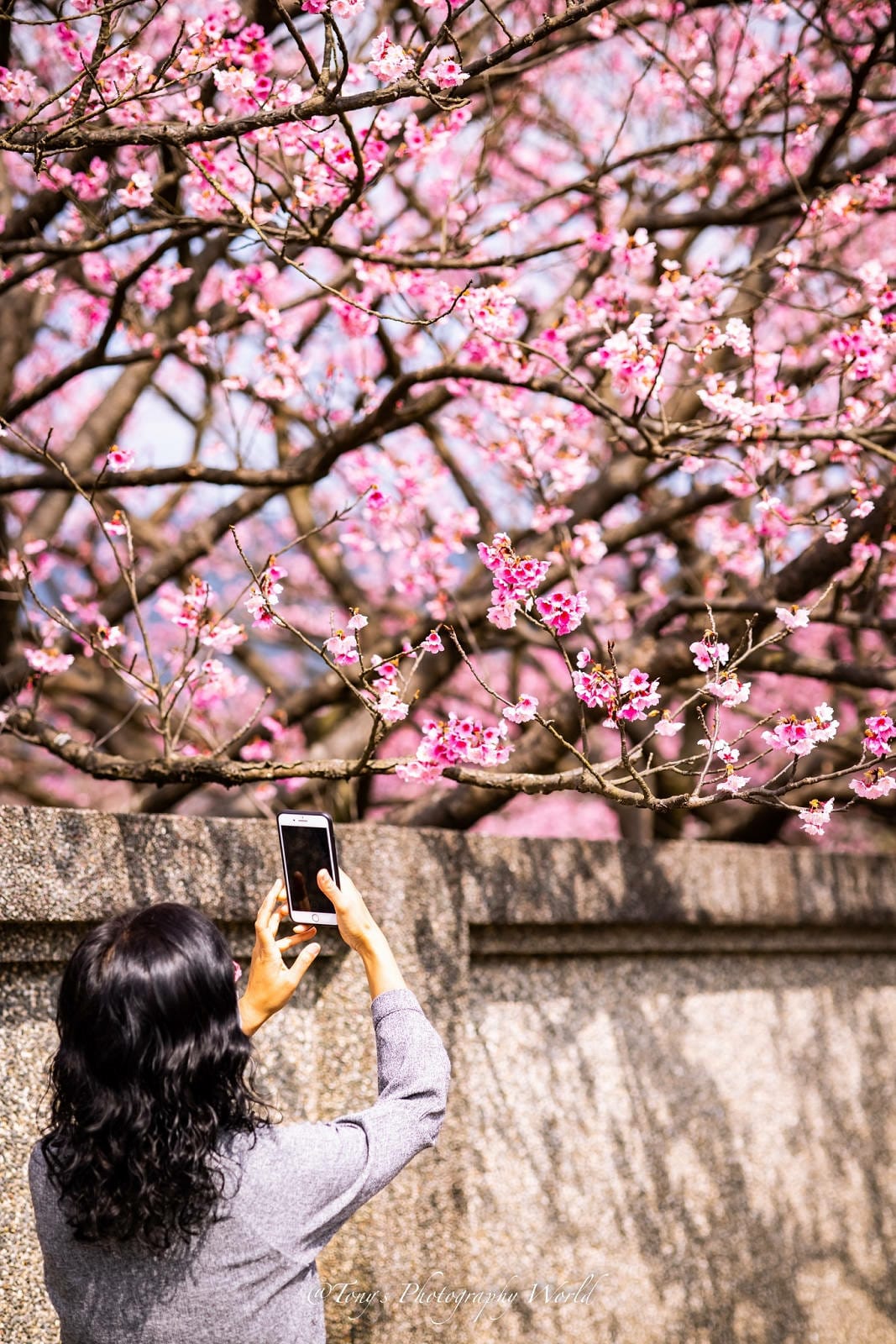 2021126@平等里_210126_3.jpg 2021126@平等里_210126_3.jpg